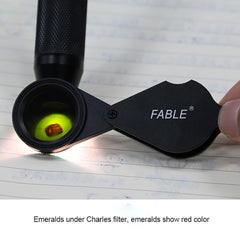 Chelsea Filter FCF-25 (7)