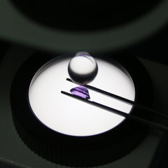 Conoscope FTP-GSQ (3)