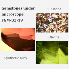 FABLE Jewelry Binocular Microscope FGM-U2-19 (5)