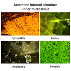 Jewelry Binocular Microscope FGM-R1-15 (4)