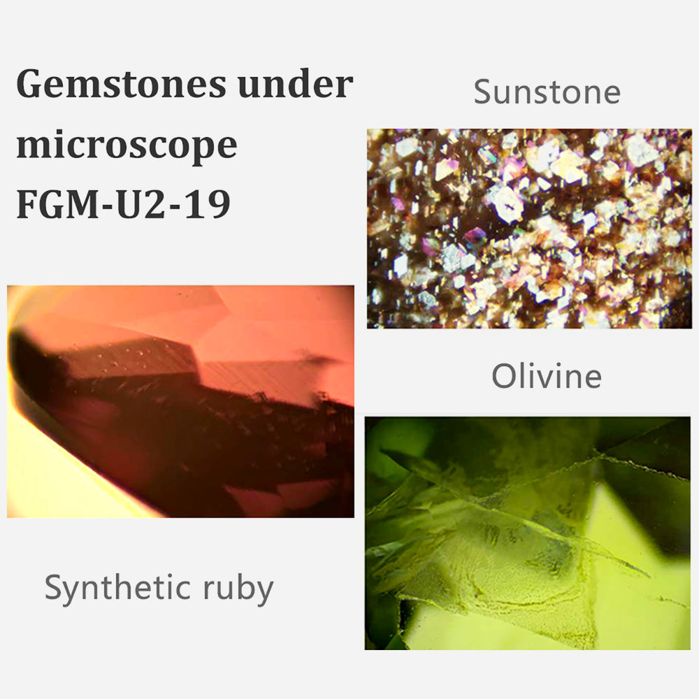 FABLE Jewelry Binocular Microscope FGM-U2-19 (5)